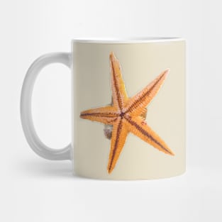 Summer Sand Beach Starfish Holidays Mug